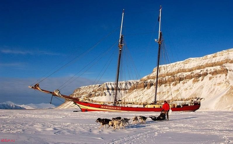 Noorderlicht – шхуна отель для путешествовий по льдам Арктики