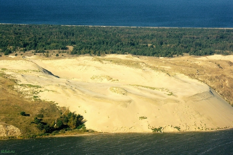 Куршская коса - "море" песка у Балтийского моря