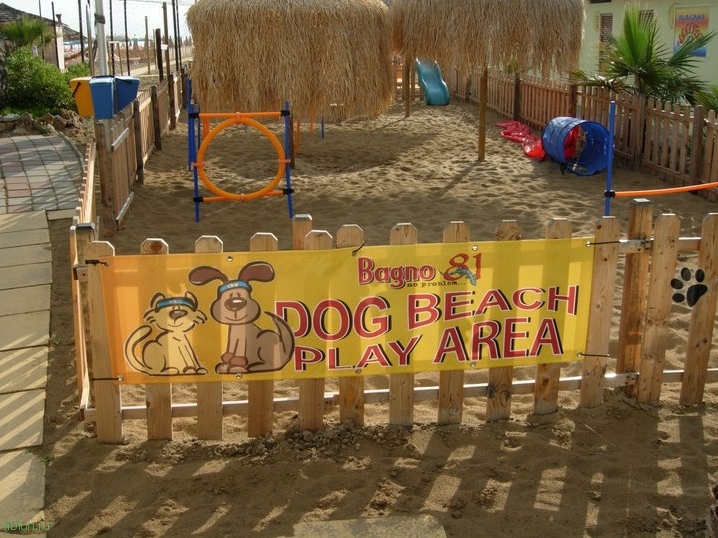 В Италии открылся пляж для собак (фото и видео)