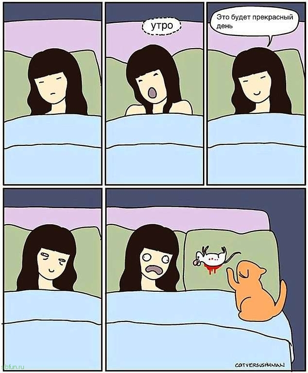 Забавные комиксы о котах