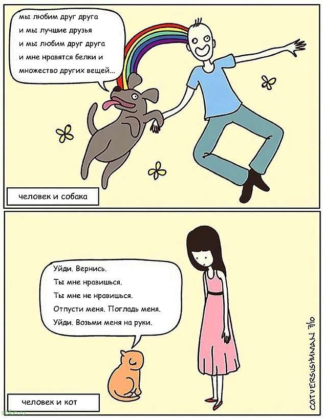 Забавные комиксы о котах