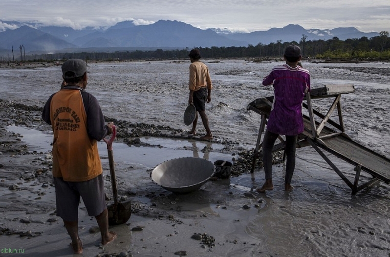Нелегальная добыча золота в Индонезии