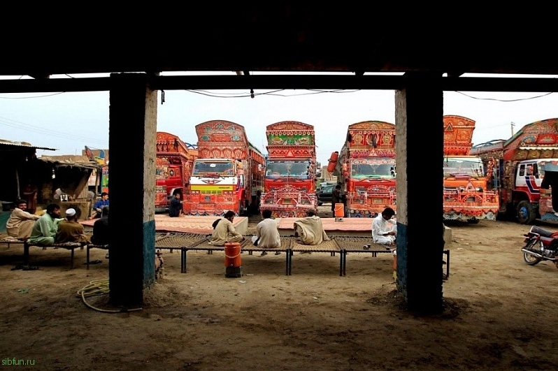 Арт-грузовики в Пакистане – новое культурное явление