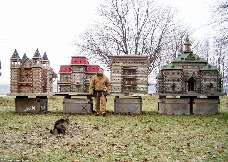 Канадский плотник строит удивительные деревянные дворцы для птиц