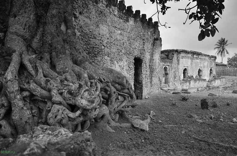 Килва-Кисивани – руины одной из величайших империй в Восточной Африке