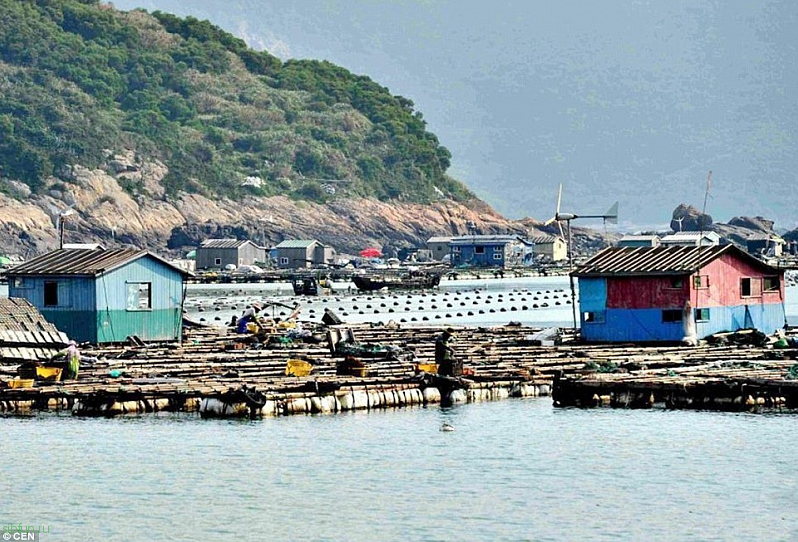 Огромные плавучие рыбные фермы Китая