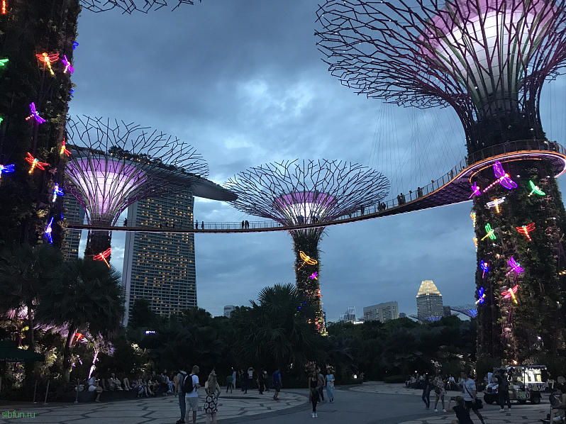 Сингапур самостоятельно: виза и как добраться