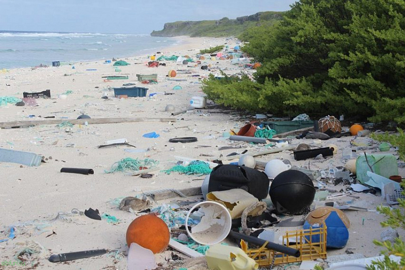 Хендерсон – один из самых загрязненных необитаемых островов в мире