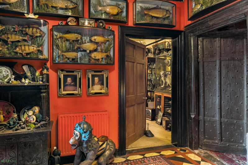 Музей курьезов Виктора Вунда – странное место в одном из районов Лондона