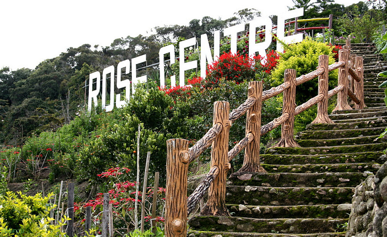 Фантастический центр Роз в Малайзии