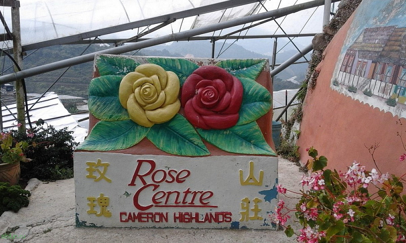 Фантастический центр Роз в Малайзии
