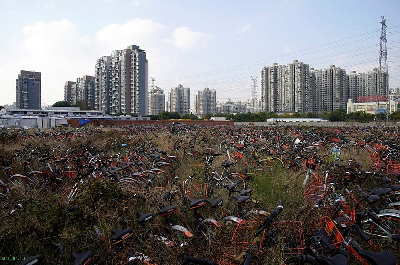 Огромные кладбища велосипедов в Китае