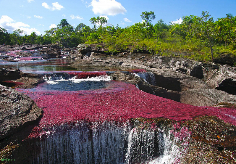 Каньо-Кристалес — одна из самых красивых рек на Земле