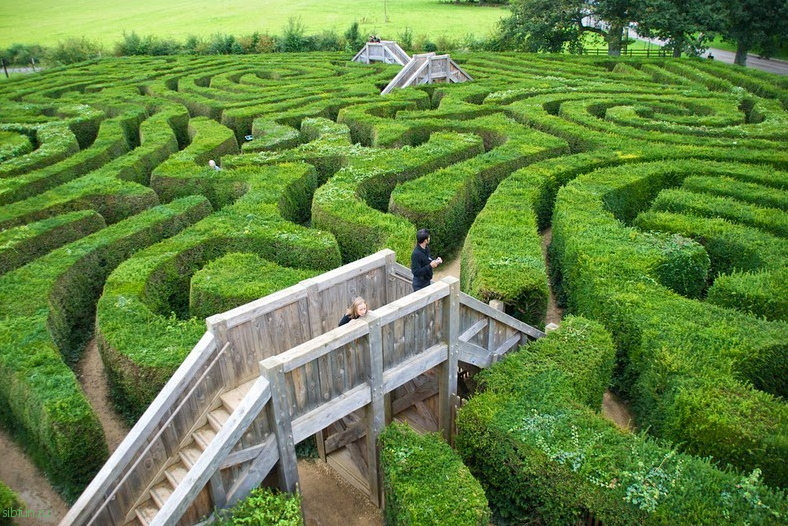 Longleat Hedge Maze – самый длинный «живой» лабиринт в мире