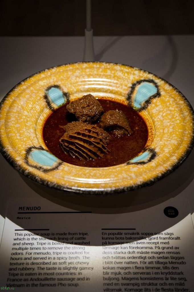 Необычный музей отвратительной еды в Швеции