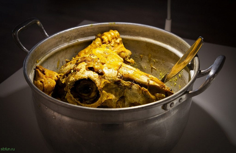 Необычный музей отвратительной еды в Швеции