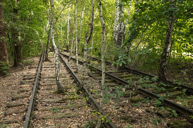 Natur-Park Südgelände – природный парк в заброшенной железнодорожной сортировочной станции