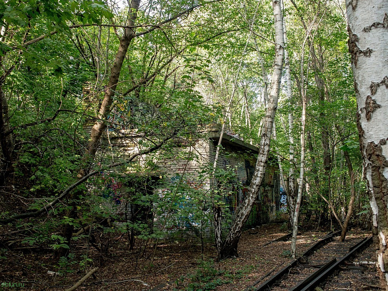 Natur-Park Südgelände – природный парк в заброшенной железнодорожной сортировочной станции