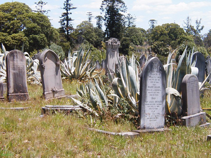 Руквудское кладбище в Австралии – крупнейший некрополис в Южном полушарии земли