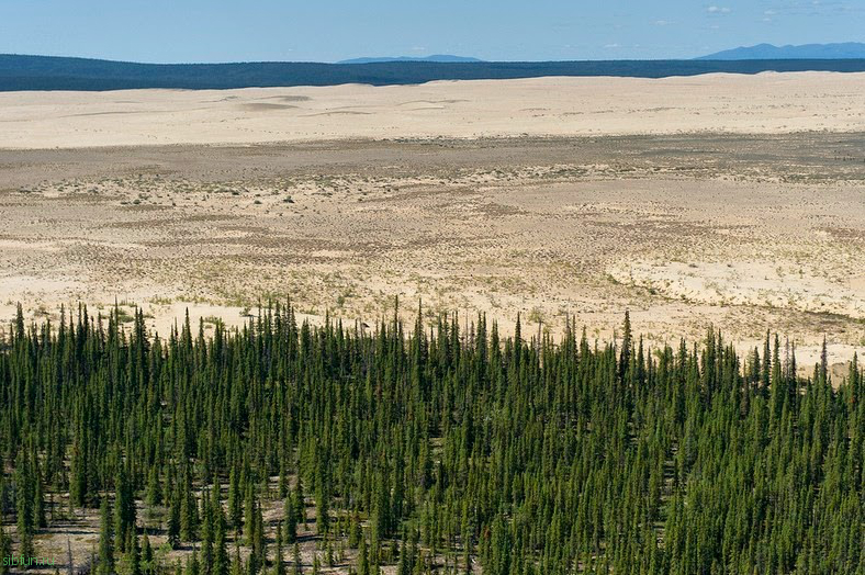 Великие песчаные дюны Кобук в Национальном парке Kobuk Valley на Аляске