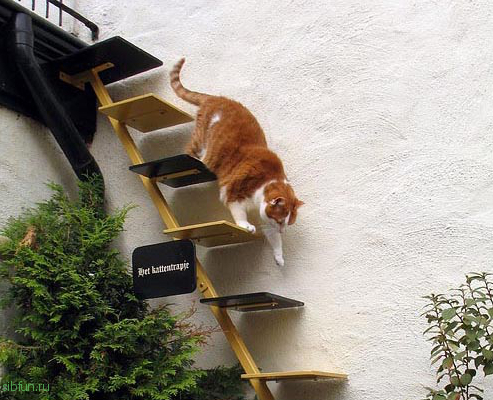 Кошачьи лестницы в городе Берн в Швейцарии