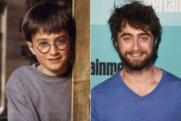 Как повзрослели герои из фильмов о Гарри Поттере