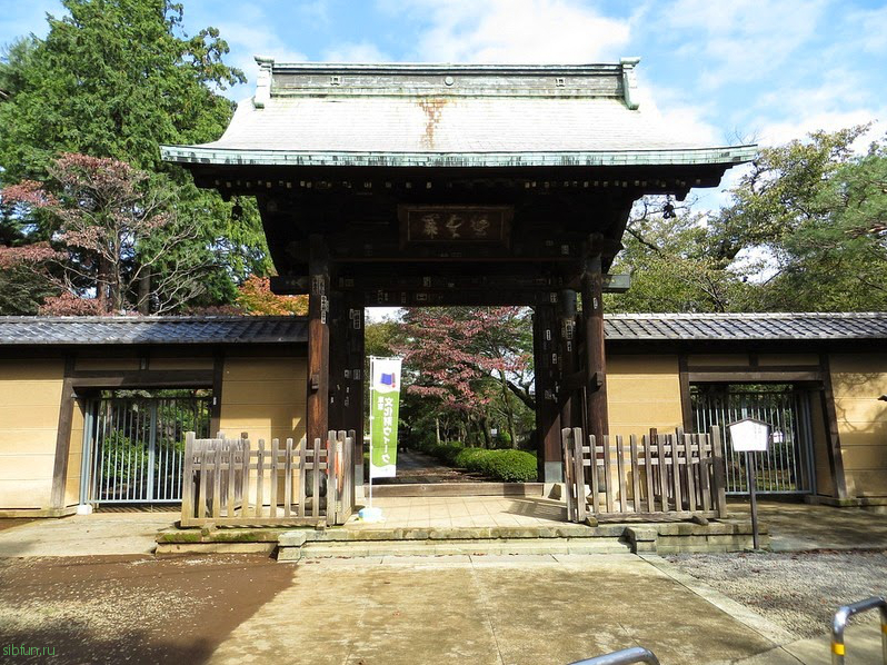 Готокудзи – буддистский храм, где появились статуэтки Манэки Неко