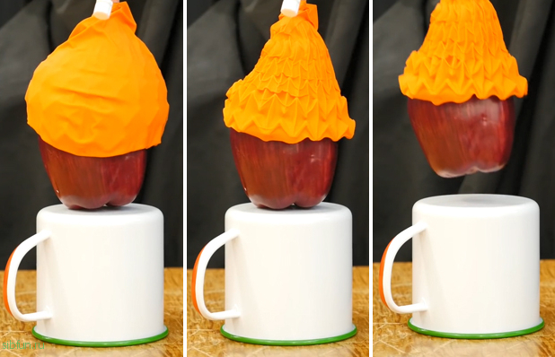 Этот «резиновый тюльпан» способен бережно поднимать тяжёлые предметы