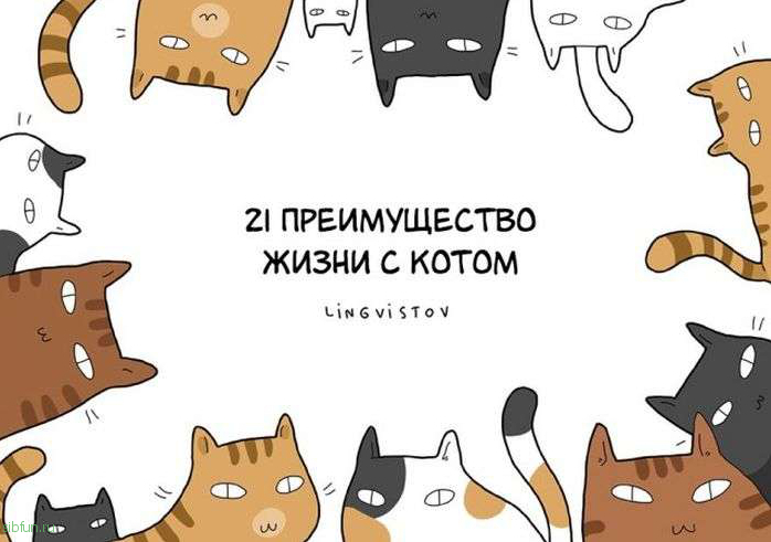 Веселые комиксы о преимуществах жизни с котом
