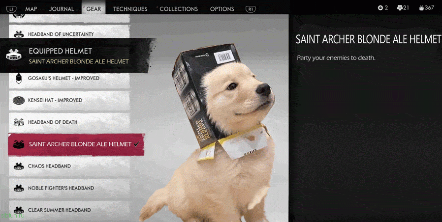 Довольный пёс в картонном шлеме стал героем фотожабы
