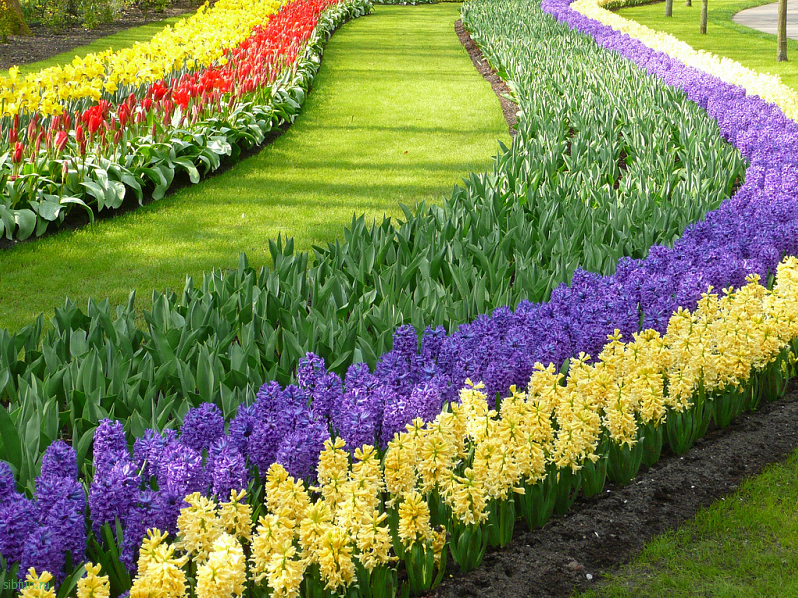 7 самых красивых садов мира!