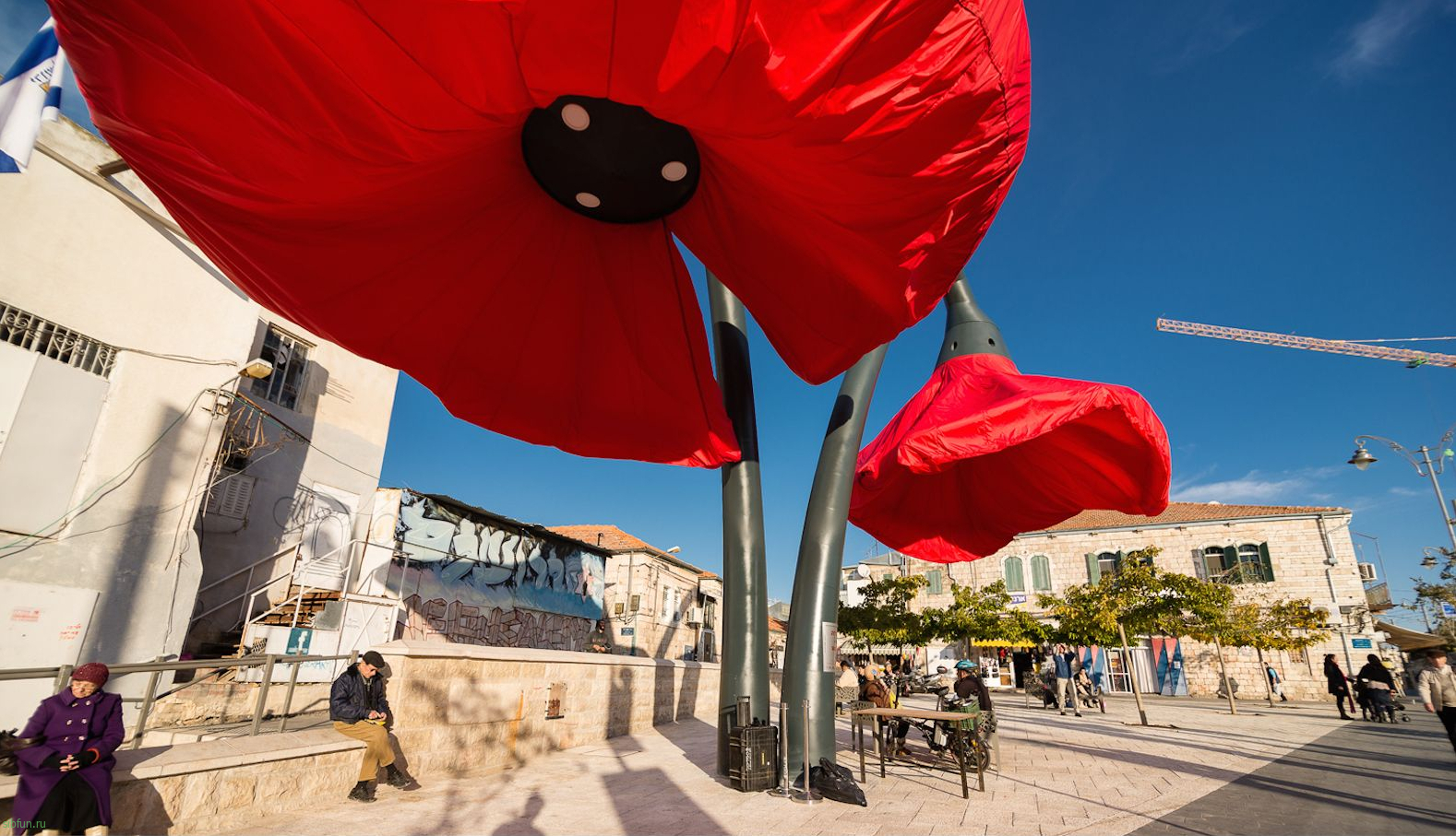 Гигантские цветы на площади Vallero в Иерусалиме | Vallero Square