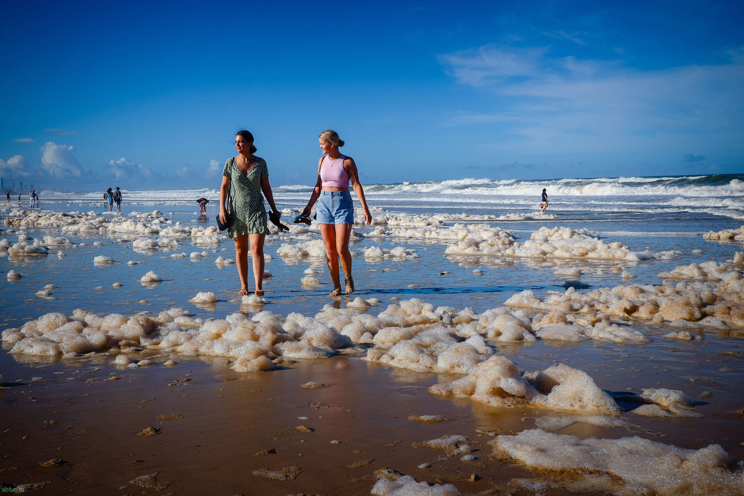 Чем опасная пена на пляжах Австралии — что она таит? |  Змеи на пляжах