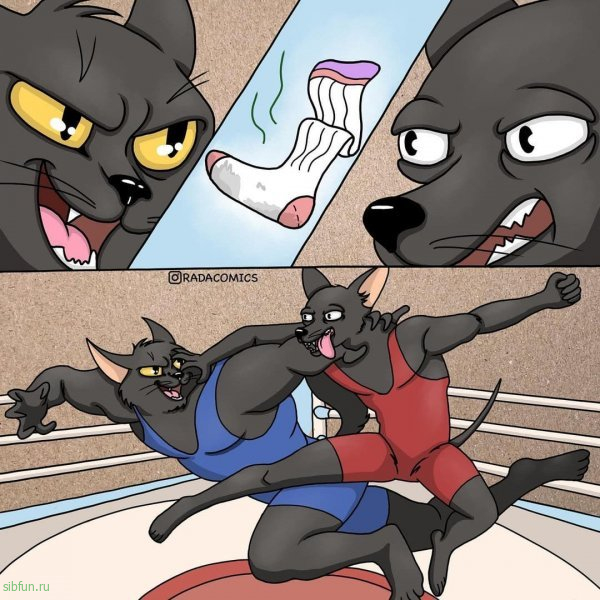 Забавный комикс от художницы, которая живет с двумя котами и собакой