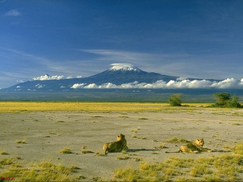 Хочу на Килиманджаро!