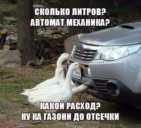 Автоприколы