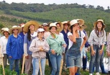 Рай для мужчин