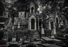 Жуткие факты