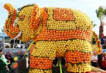 Цитрусовый фестиваль в Мерсине – апельсинов больше, чем людей