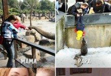 В чем разница между мамой и папой