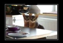 Демотивируйтесь на здоровье!