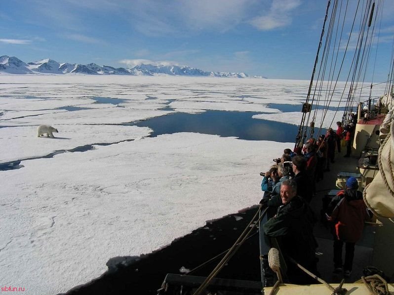 Noorderlicht – шхуна отель для путешествовий по льдам Арктики