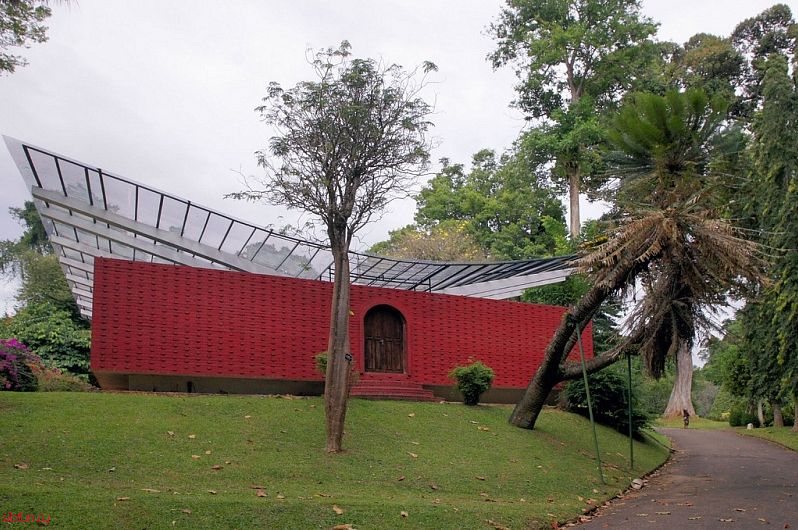 Королевский ботанический сад в Перадении, Шри-Ланка