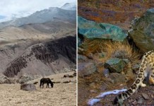 Уникальные национальные парки Индии