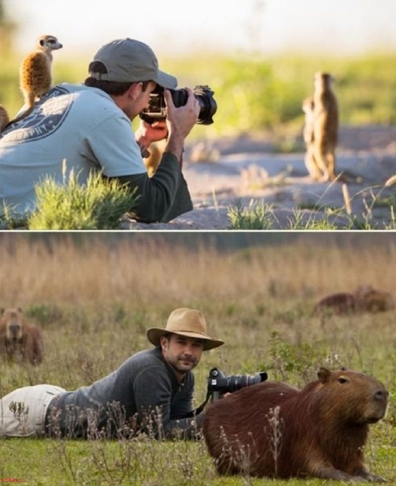 Фотографы - лучшие друзья животных