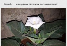 Самые жестокие и жуткие испытания мужественности