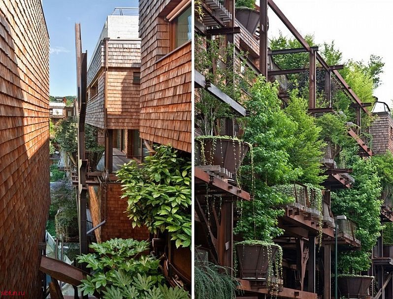 Уникальный урбанистический дом с деревьями в Италии