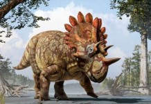 Интересные факты о динозаврах