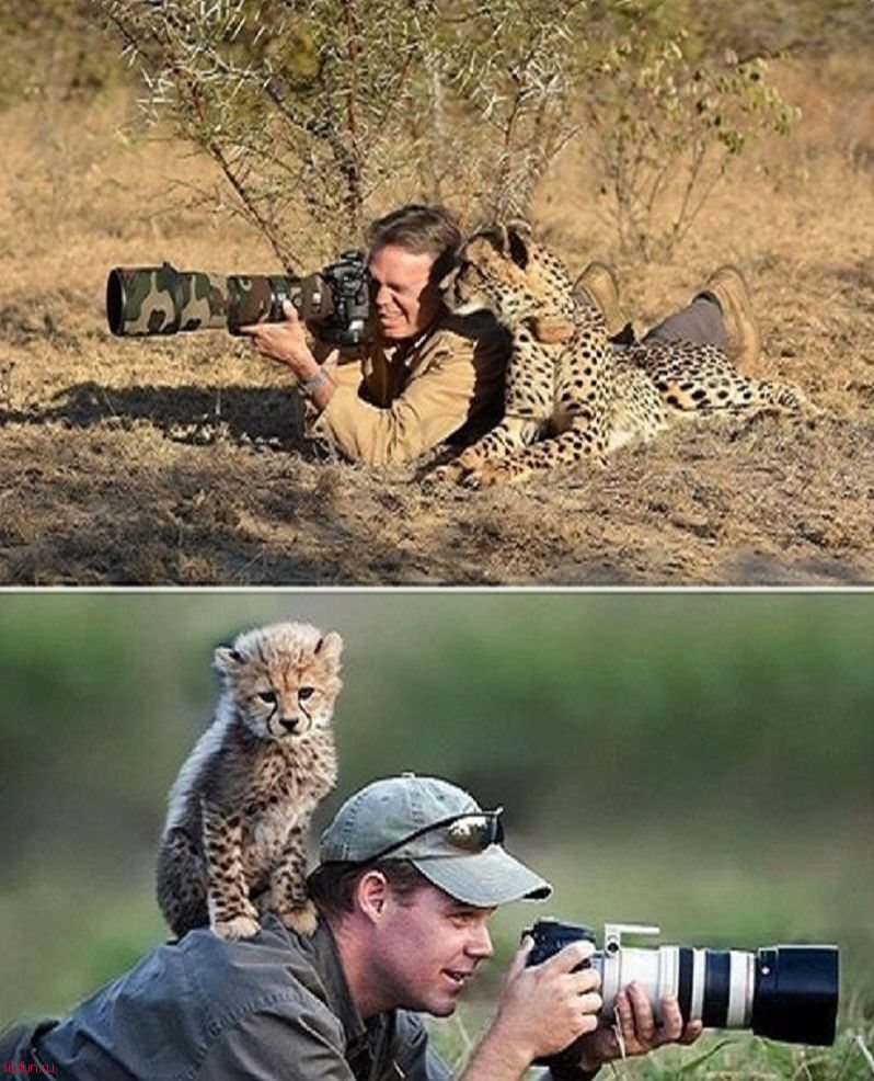 Фотографы - лучшие друзья животных