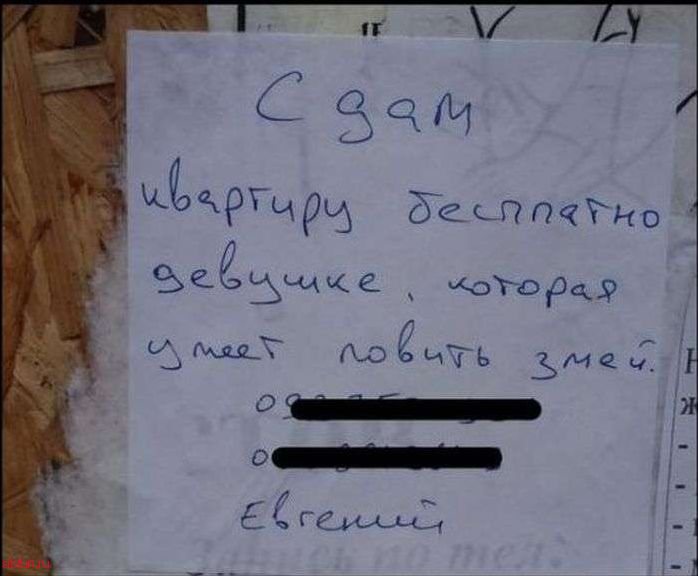 Забавные объявления и вывески